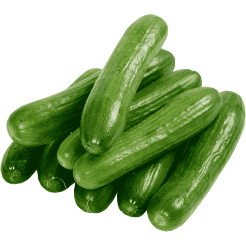 Fresh cucurbits